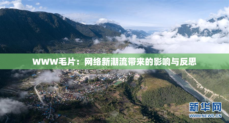 WWW毛片：网络新潮流带来的影响与反思