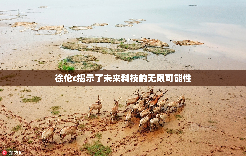 徐伦c揭示了未来科技的无限可能性