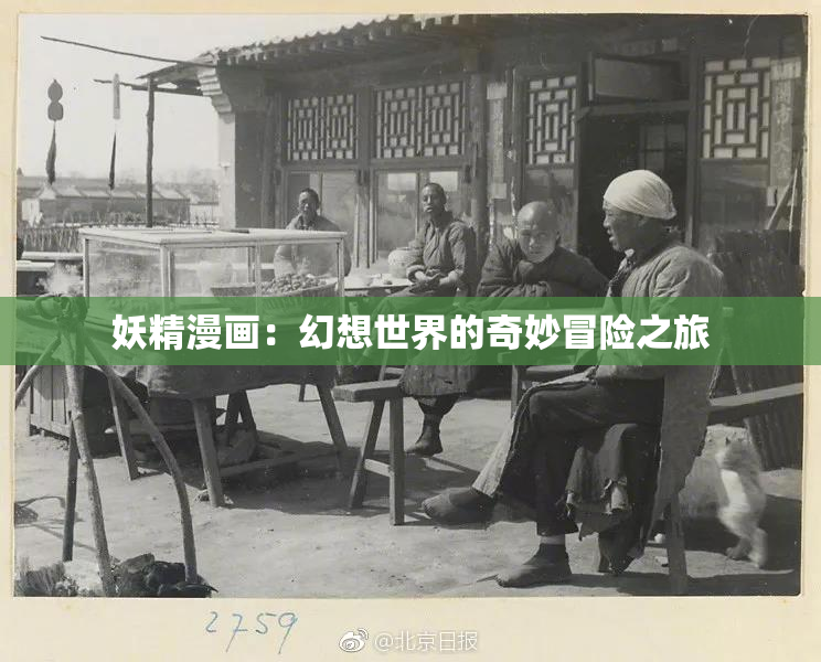 妖精漫画：幻想世界的奇妙冒险之旅