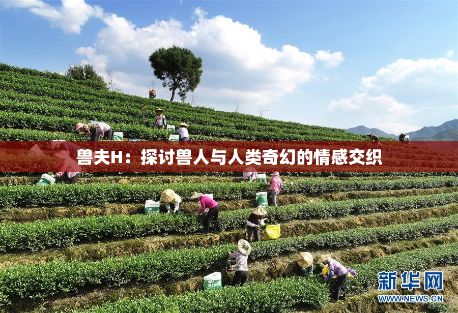 兽夫H：探讨兽人与人类奇幻的情感交织