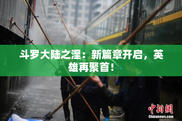斗罗大陆之涅：新篇章开启，英雄再聚首！