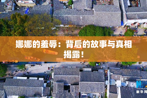 娜娜的羞辱：背后的故事与真相揭露！