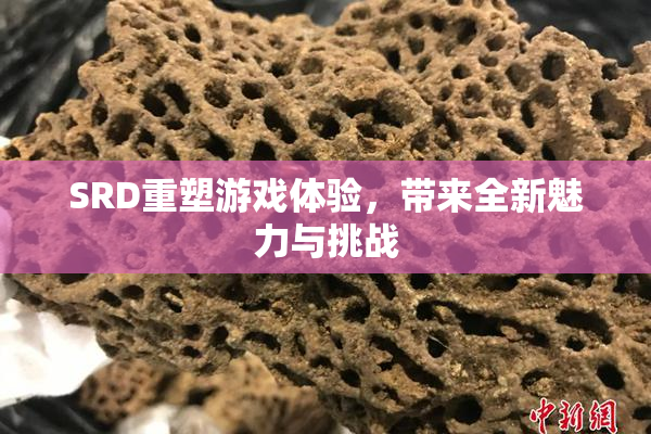 SRD重塑游戏体验，带来全新魅力与挑战
