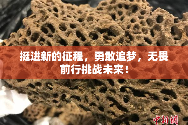挺进新的征程，勇敢追梦，无畏前行挑战未来！