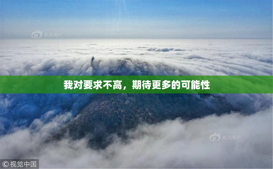 我对要求不高，期待更多的可能性