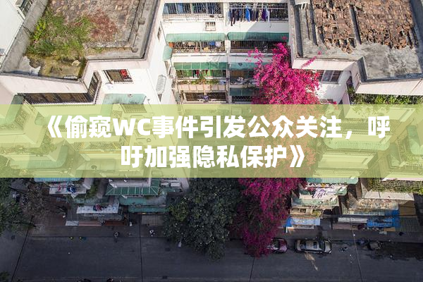 《偷窥WC事件引发公众关注，呼吁加强隐私保护》