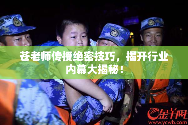 苍老师传授绝密技巧，揭开行业内幕大揭秘！