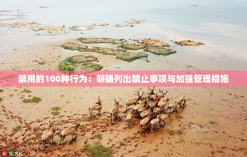 禁用的100种行为：明确列出禁止事项与加强管理措施
