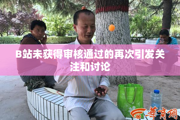 B站未获得审核通过的再次引发关注和讨论