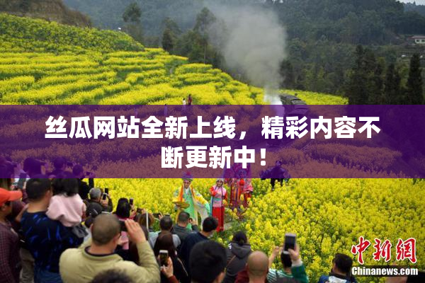丝瓜网站全新上线，精彩内容不断更新中！