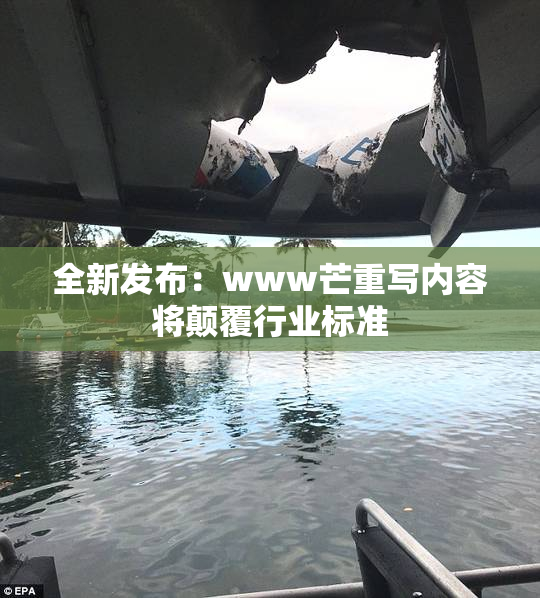 全新发布：www芒重写内容将颠覆行业标准