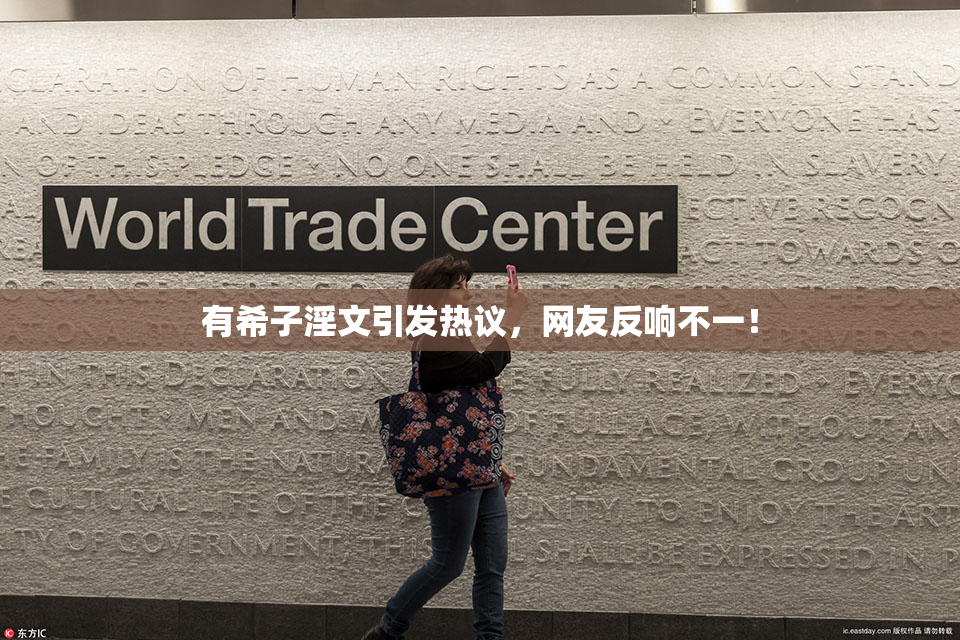 有希子淫文引发热议，网友反响不一！