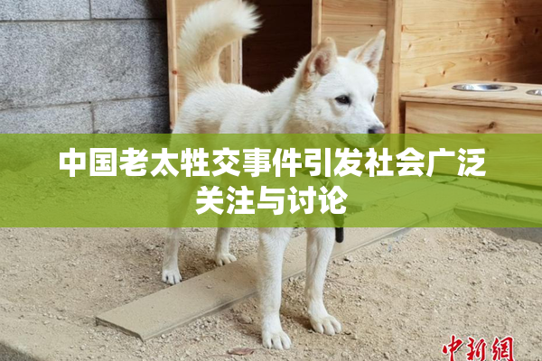 中国老太牲交事件引发社会广泛关注与讨论