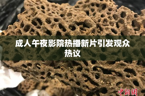 成人午夜影院热播新片引发观众热议