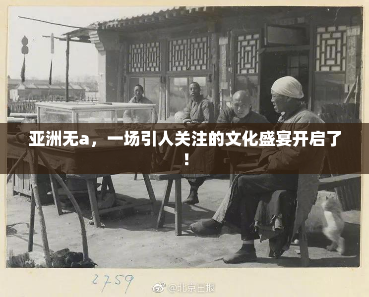 亚洲无a，一场引人关注的文化盛宴开启了！