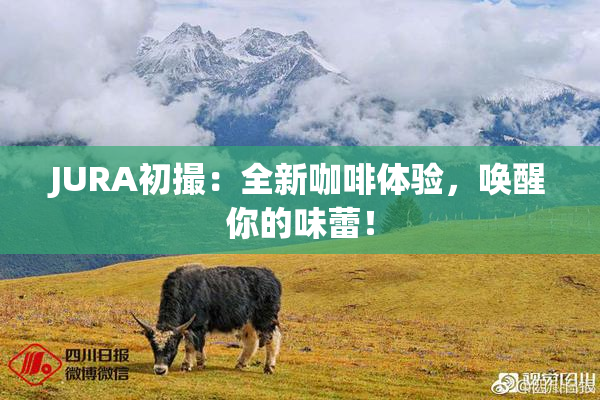 JURA初撮：全新咖啡体验，唤醒你的味蕾！