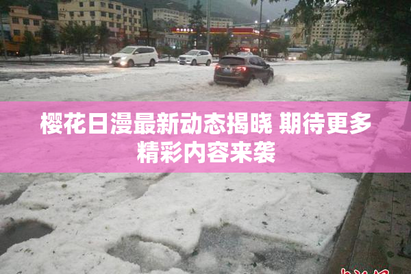 樱花日漫最新动态揭晓 期待更多精彩内容来袭