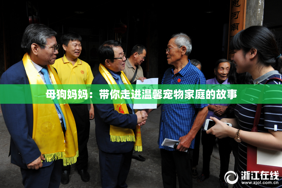 母狗妈妈：带你走进温馨宠物家庭的故事
