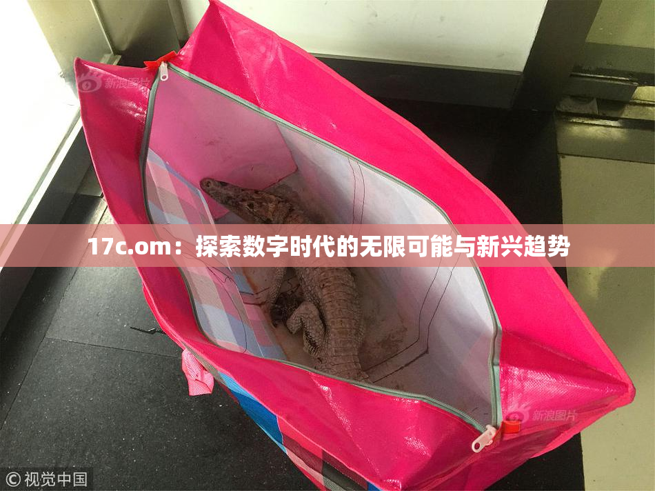 17c.om：探索数字时代的无限可能与新兴趋势