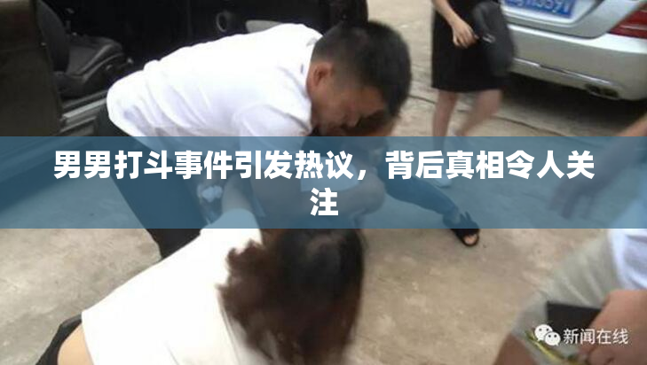 男男打斗事件引发热议，背后真相令人关注