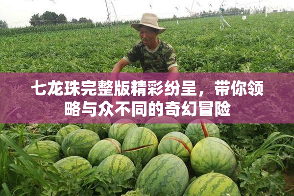 七龙珠完整版精彩纷呈，带你领略与众不同的奇幻冒险
