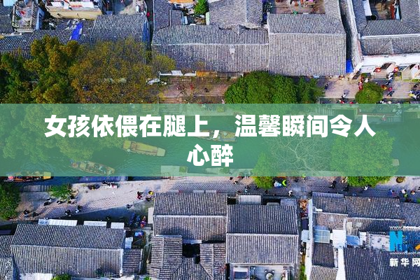 女孩依偎在腿上，温馨瞬间令人心醉