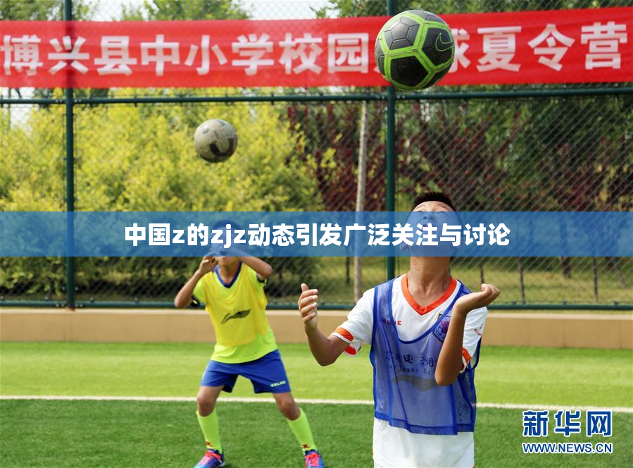 中国z的zjz动态引发广泛关注与讨论