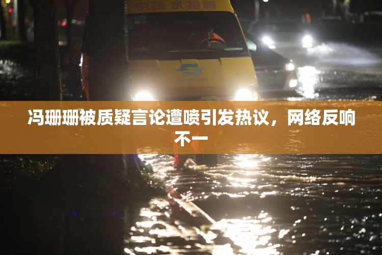 冯珊珊被质疑言论遭喷引发热议，网络反响不一