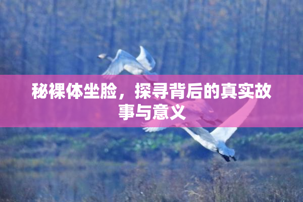 秘裸体坐脸，探寻背后的真实故事与意义