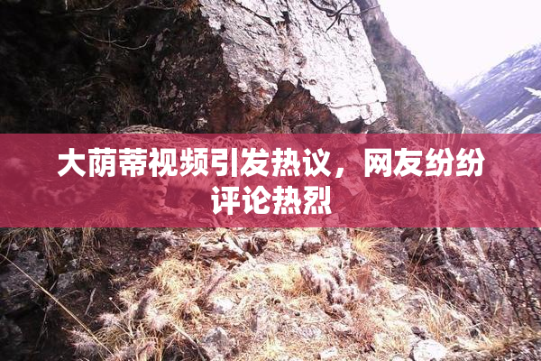 大荫蒂视频引发热议，网友纷纷评论热烈