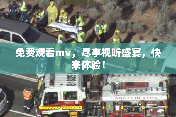 免费观看mv，尽享视听盛宴，快来体验！