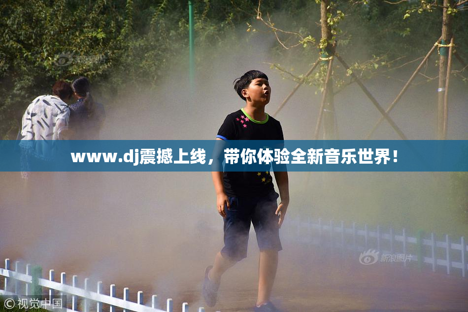 www.dj震撼上线，带你体验全新音乐世界！