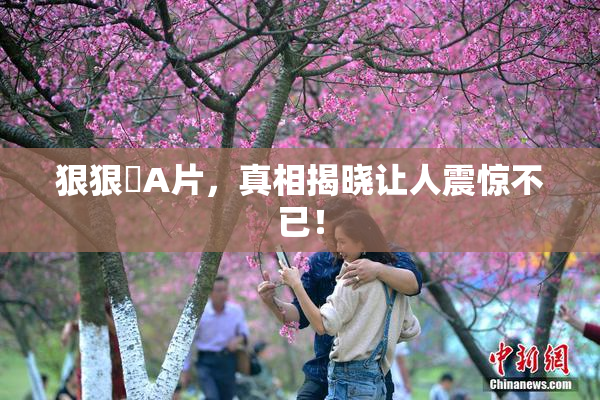 狠狠穞A片，真相揭晓让人震惊不已！
