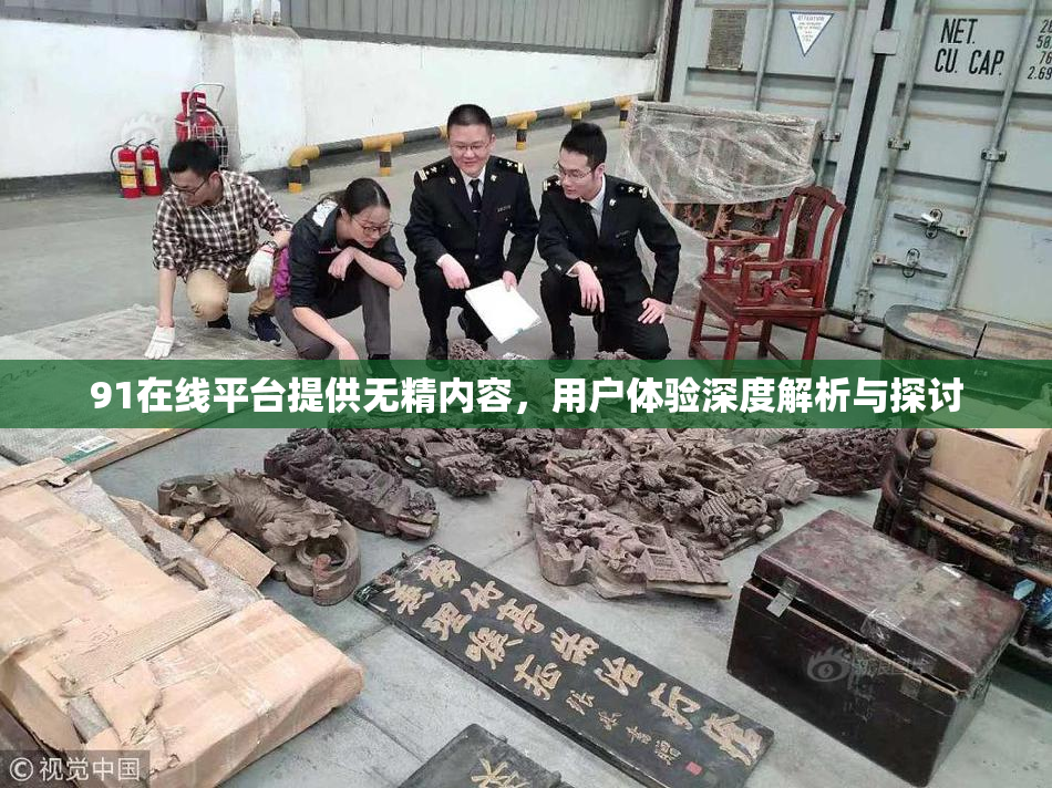 91在线平台提供无精内容，用户体验深度解析与探讨