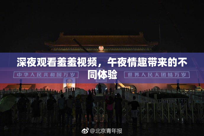 深夜观看羞羞视频，午夜情趣带来的不同体验