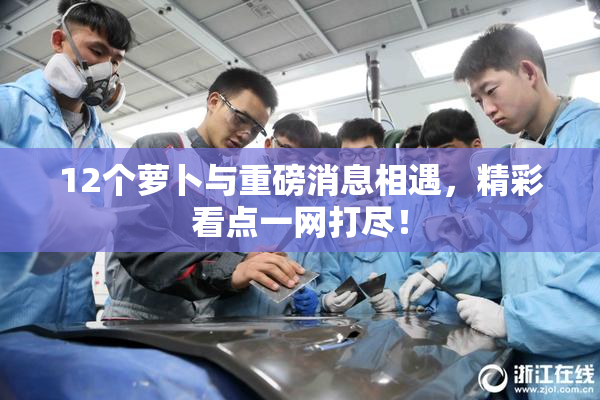 12个萝卜与重磅消息相遇，精彩看点一网打尽！