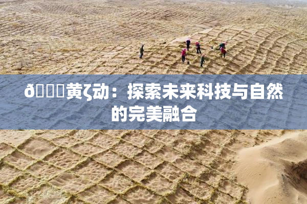 🔞黄ζ动：探索未来科技与自然的完美融合