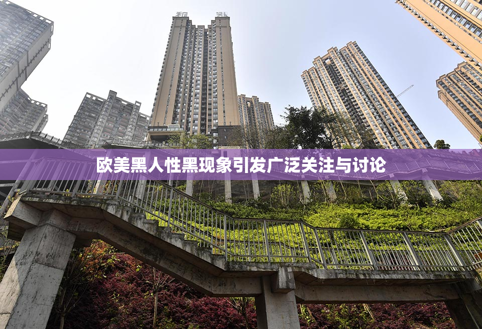欧美黑人性黑现象引发广泛关注与讨论