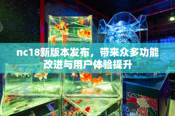 nc18新版本发布，带来众多功能改进与用户体验提升