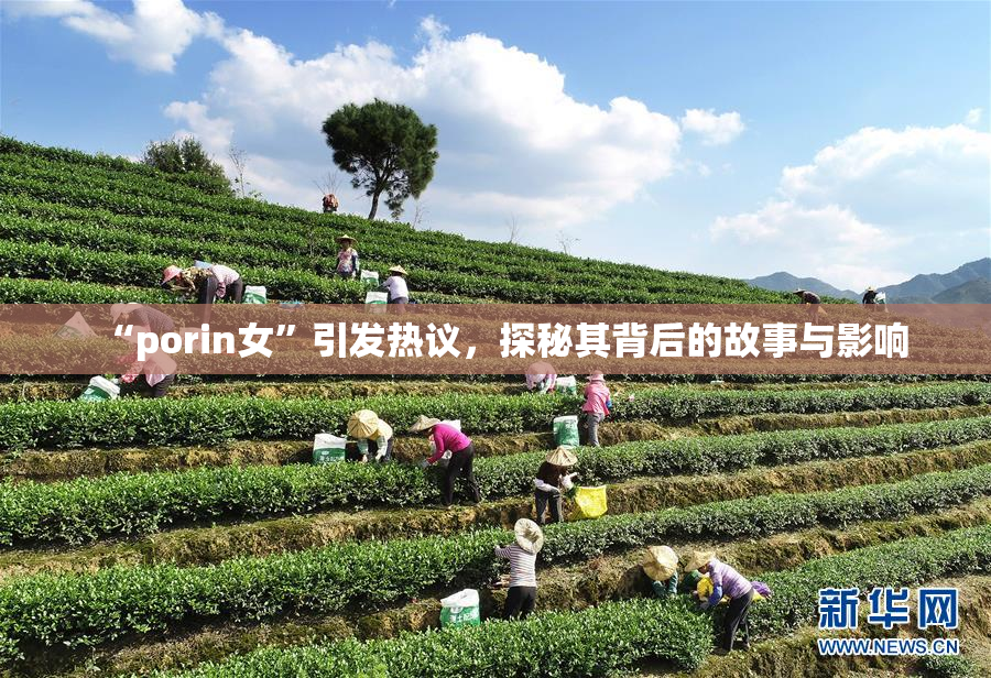 “porin女”引发热议，探秘其背后的故事与影响