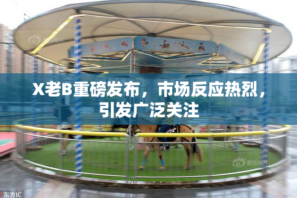 X老B重磅发布，市场反应热烈，引发广泛关注