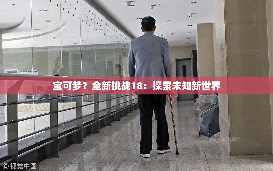 宝可梦？全新挑战18：探索未知新世界