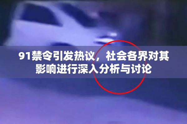 91禁令引发热议，社会各界对其影响进行深入分析与讨论