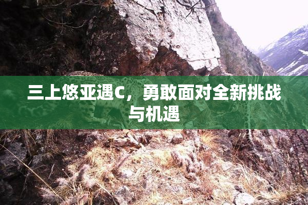 三上悠亚遇C，勇敢面对全新挑战与机遇