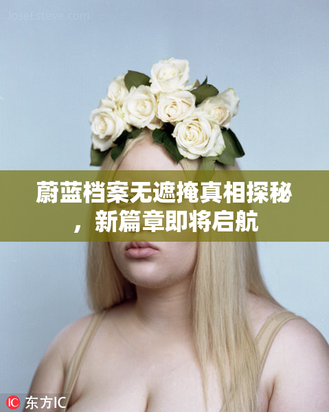 蔚蓝档案无遮掩真相探秘，新篇章即将启航