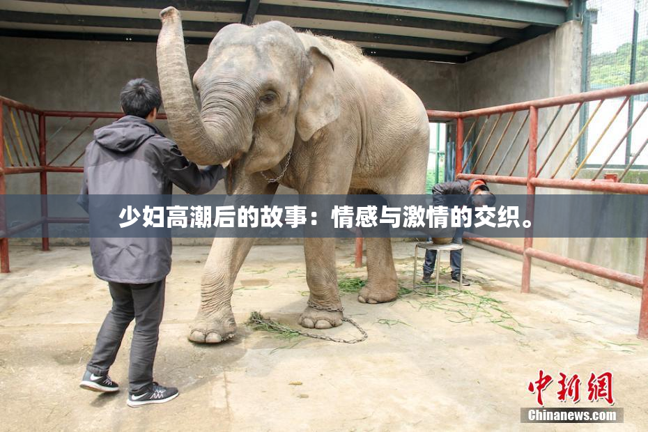 少妇高潮后的故事：情感与激情的交织。