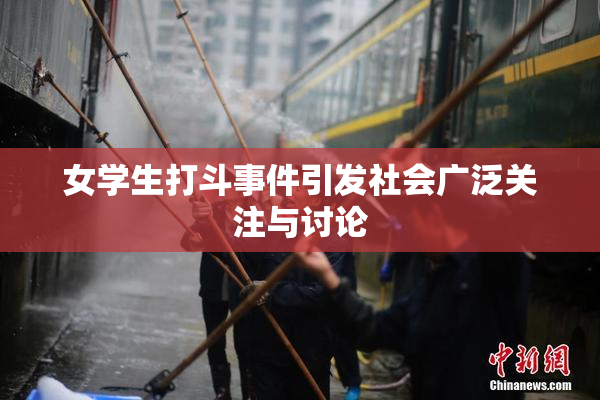 女学生打斗事件引发社会广泛关注与讨论