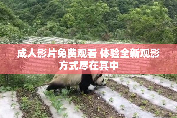 成人影片免费观看 体验全新观影方式尽在其中