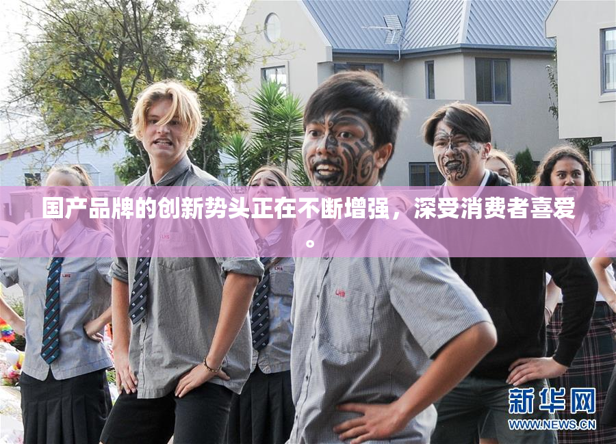 国产品牌的创新势头正在不断增强，深受消费者喜爱。