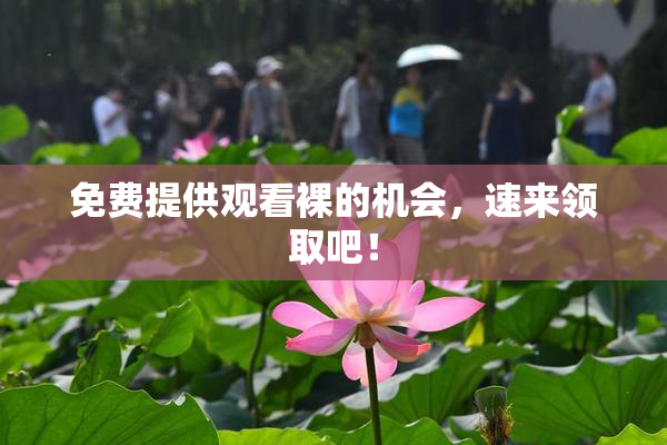 免费提供观看裸的机会，速来领取吧！